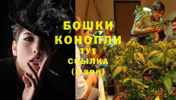 скорость Сосновый Бор
