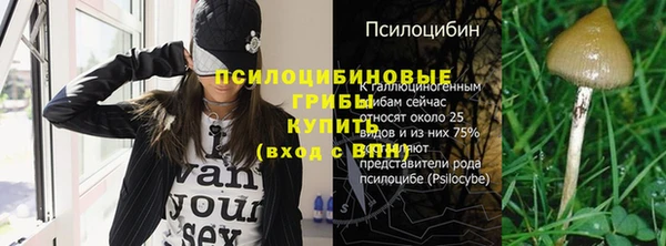 бошки Сосновка