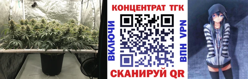 кракен как зайти  Липки  Дистиллят ТГК гашишное масло  закладка 